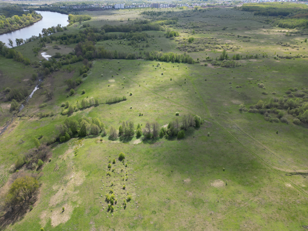 DJI_0012.JPG