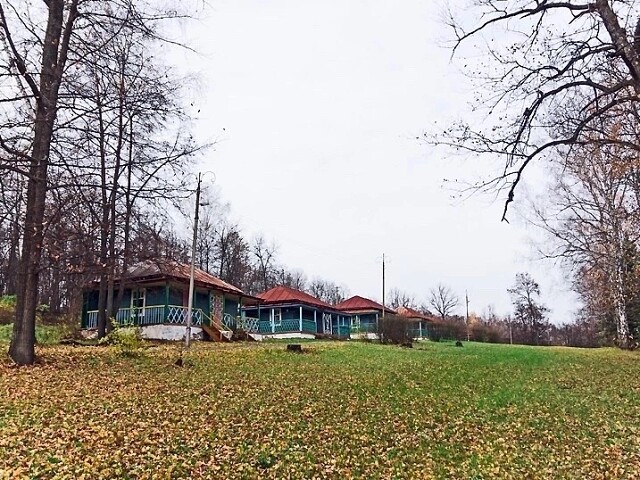 66.jpg