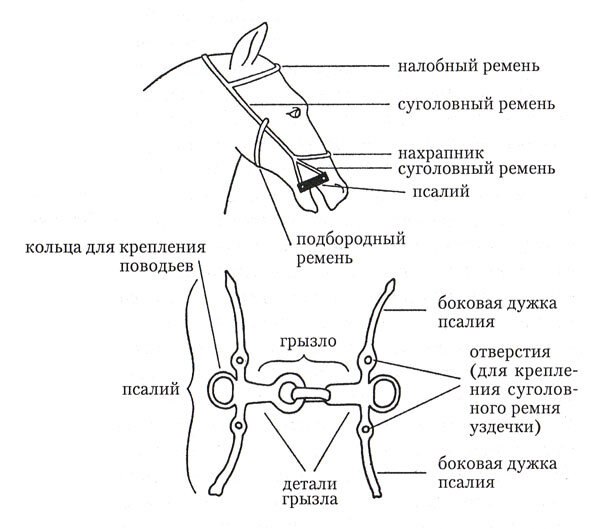 9987e334-7eb6-48f8-9e15-0359f9bc6623.jpg