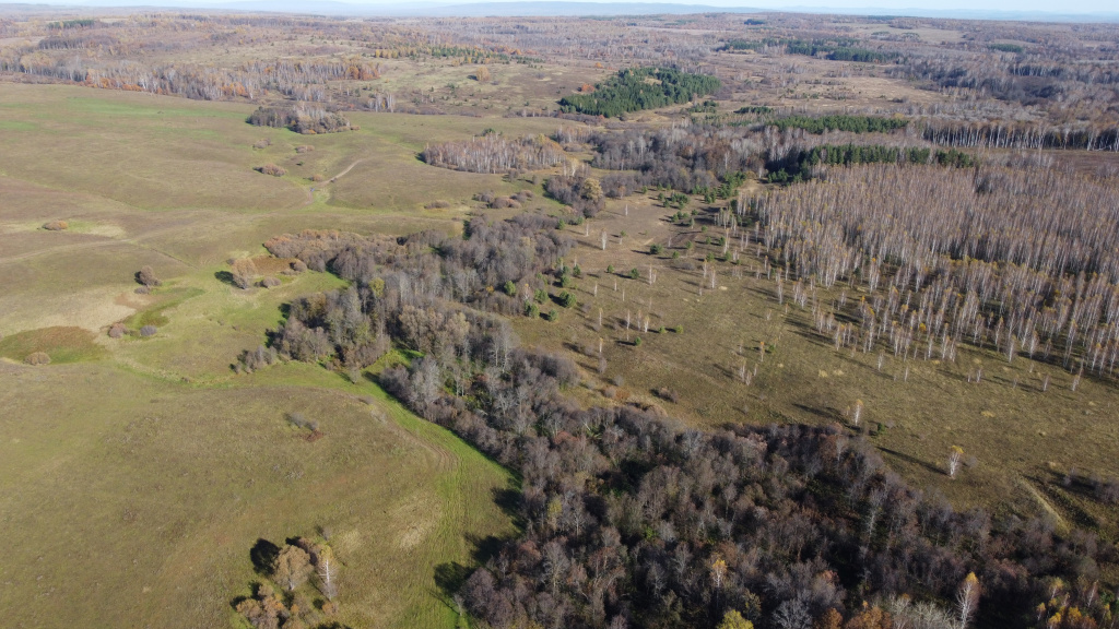 DJI_0912.JPG